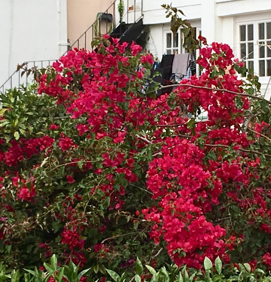 ליסבון Flores מראה חיצוני תמונה